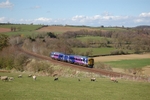 30.4.13 - 158748 14.49 Carlisle - Leeds, Armathwaite