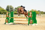 SBM_000986