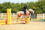 SBM_005523