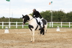 SBM_003540
