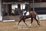 19TH OCTOBER 2025 - DRESSAGE - MUIRMILL EC portfolio