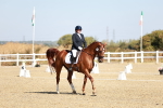 SBM_017036