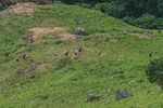Coniston Seniors-9