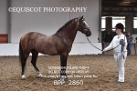 BPP_2860
