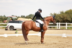 SBM_003649