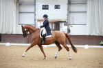 SBM_008697