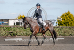 Dressage_29-09-2018-11