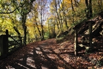 LO30 - Kilminorth Woods gateway and stile