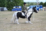 WJ7_6819