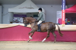 SBM_02910