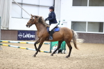 SBM_009491