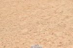 230720A-113306-02435
