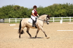SBM_008658