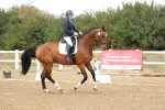 SBM_010461