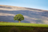 Dartmoor from Bridestowe
