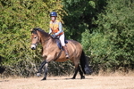 WJ6_8786