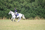 WJ6_1126