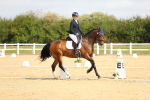 SBM_015652