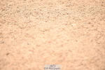 240727A-135906-05228