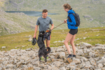 Ennerdale-159