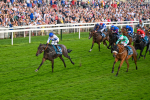 260724-Race 4-Dicko The Legend-5226