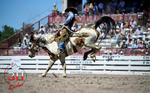 3HRodeo_CFD_JUL_18_2026_03795