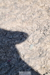260731A-162009-02540