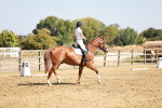 SBM_001332