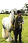 In Hand Pony & Youngstock Supreme Championship portfolio