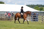 SBM_15845
