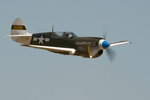 KittyHawk P 40
