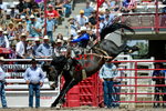 3HRodeo7-20-25_CFD_03050_