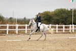 SBM_001959
