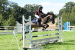 Sunday 23rd Newberry Arena portfolio