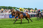Race 2 14.15pm Hilary Needler Trophy EBF Fillies' Conditions Stakes portfolio