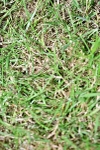 SBM_07859