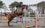 North Showjumping_2016-124