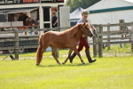 SBM_01740