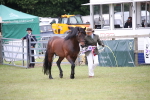 SBM_09764