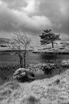 Kelly Hall Tarn 03