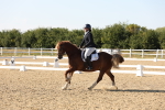 SBM_007062