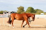 SBM_18325