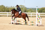 SBM_006991