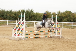 SBM_008196