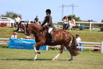 3E7A6984