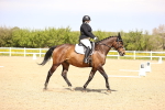 SBM_007916