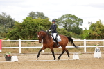 SBM_006404