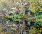 Glencoe Lochan (3)