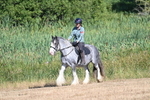 WJ7_7461