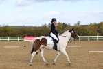 SBM_000954